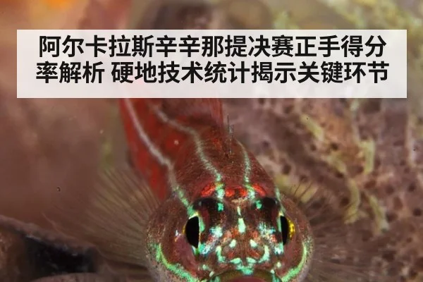 阿尔卡拉斯辛辛那提决赛正手得分率解析 硬地技术统计揭示关键环节